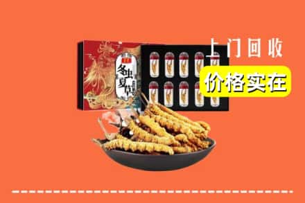 广德市回收冬虫夏草